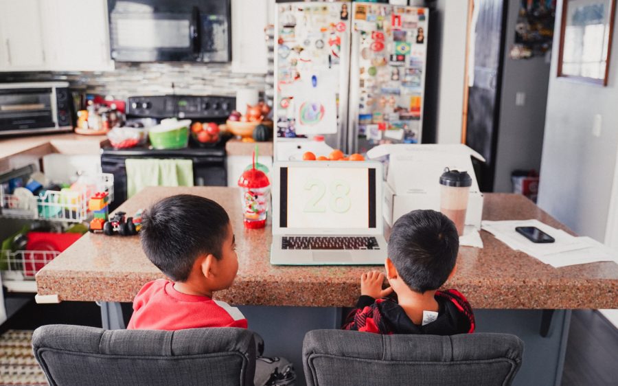 Young boys working at home on a computer.