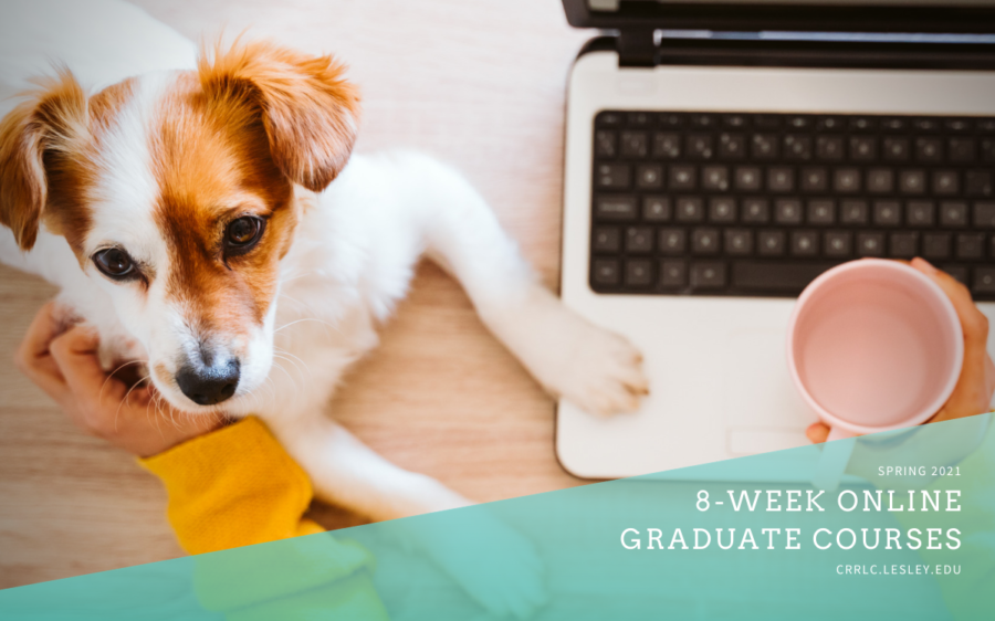 Spring Courses